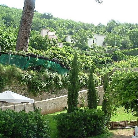 Pietra Rosa Bed & Breakfast Tramonti Bagian luar foto