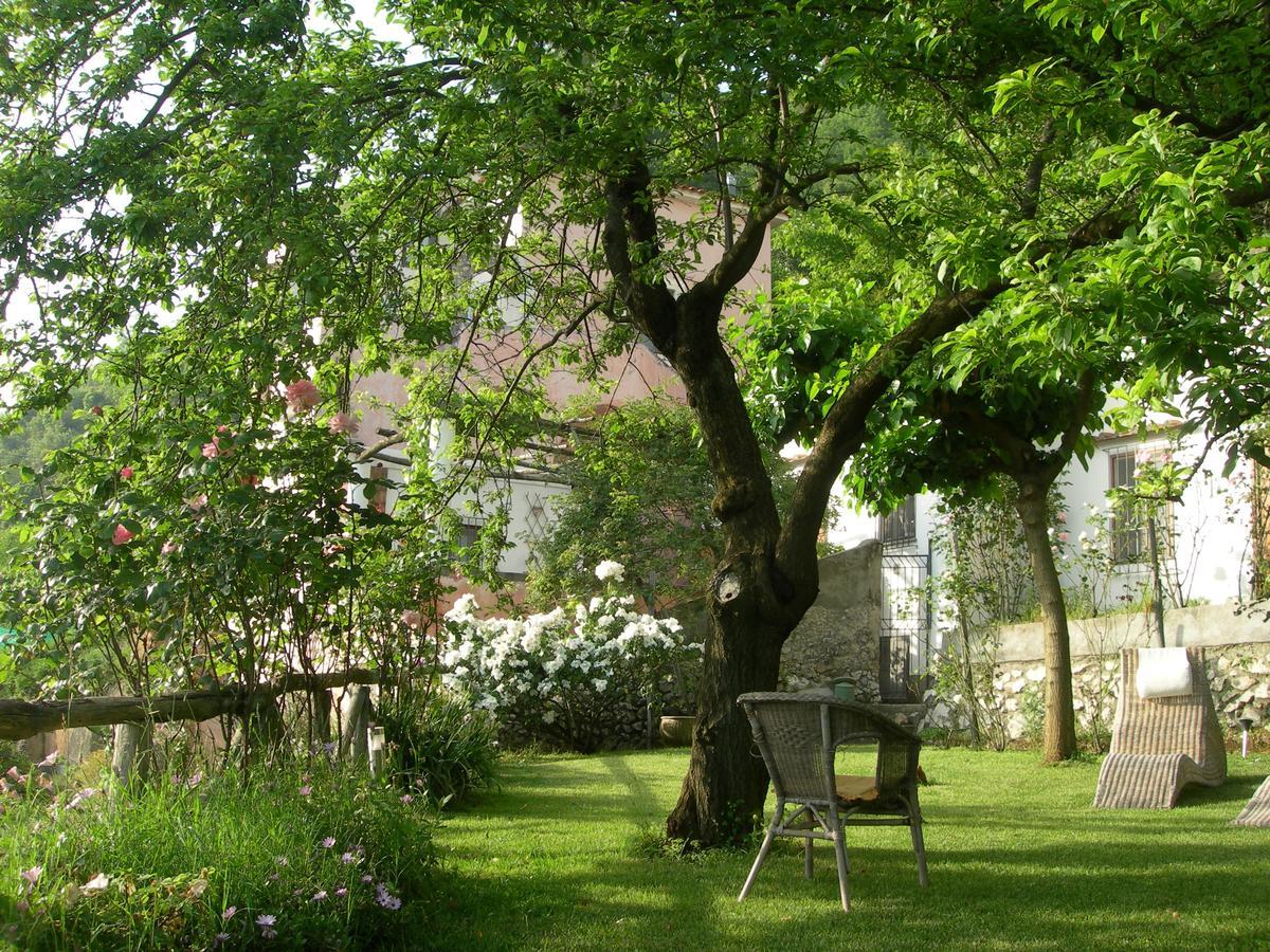 Pietra Rosa Bed & Breakfast Tramonti Bagian luar foto