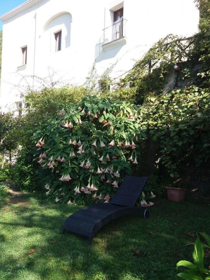 Pietra Rosa Bed & Breakfast Tramonti Bagian luar foto