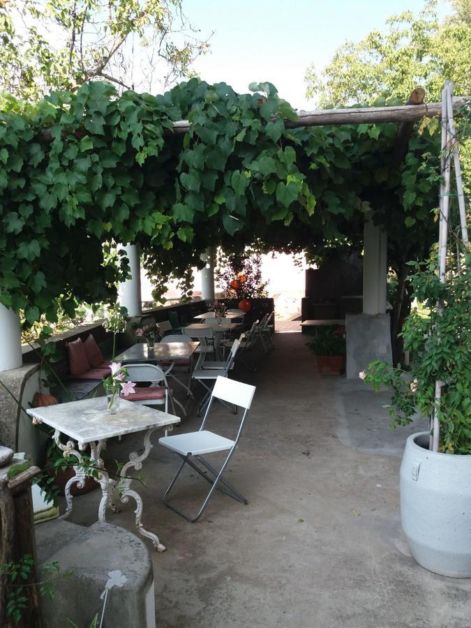Pietra Rosa Bed & Breakfast Tramonti Bagian luar foto